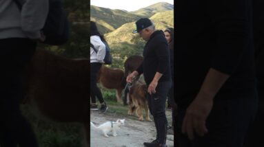 Cesar Millan the Cat Whisperer? Full Vlog Out Now!