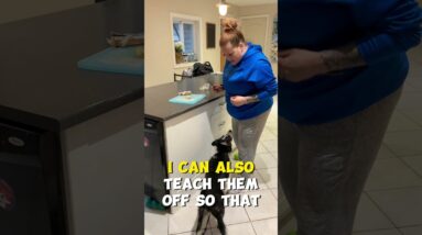 Dog Trick Training BACKFIRE?