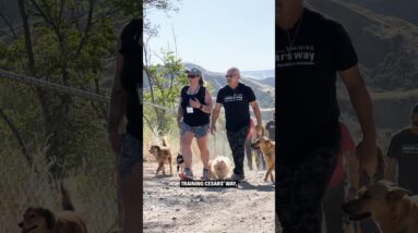 Experience the magic of the ranch at Training Cesar’s Way ✨