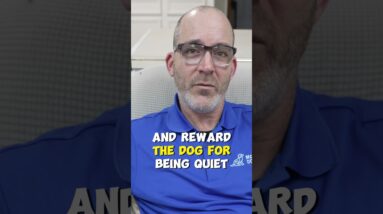 How to Get Your Dog to STOP BARKING!