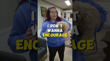 I CAN'T STOP My Puppy Barking at Night!