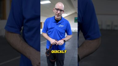 ONLY Use 6ft Leashes