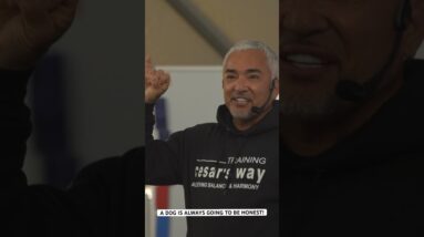 Reality vs. Story 📖