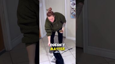 The BIGGEST Mistake New Puppy Owners Make!