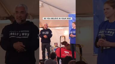 Do you believe in your dog?