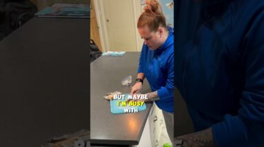 How To Wean Away From The Dog Crate