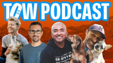 THE BEST WORKSHOP YOU CAN GO TO, TRAINING CESAR’S WAY. | BHBP EP. 15