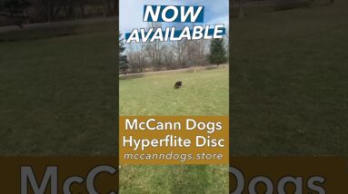 The World's Toughest Competition Disc