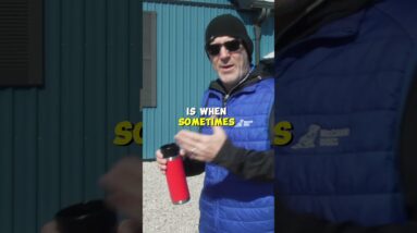 What Does Leadership Mean in Dog Training?