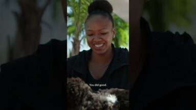 NatGeo and I have helped changed the world between humans and dogs. The mission continues 🩵