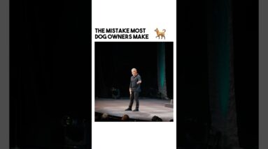 How does a dog learn?