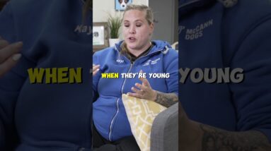 Meal Feeding Can HELP Your Dog LOVE Their Crate