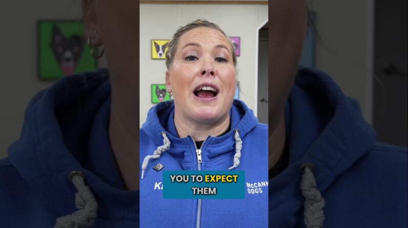 Stop Putting These Crazy Expectations on your Puppy!