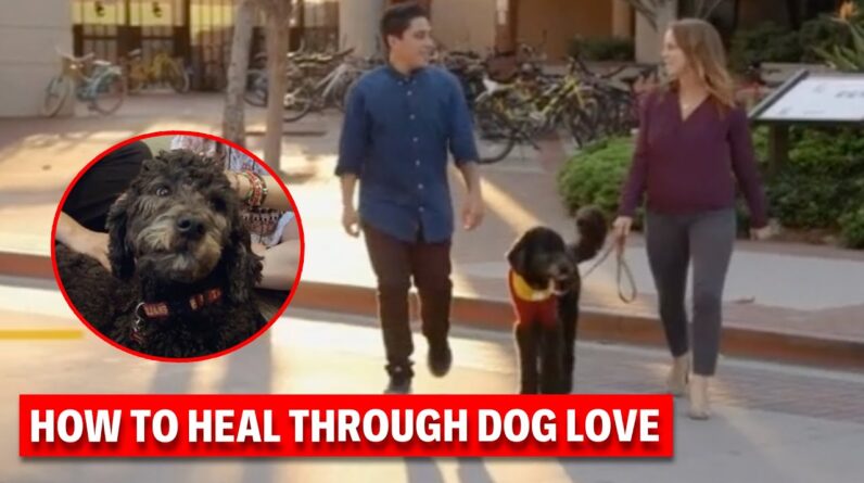 This Will Melt Your Heart -- Dogs Helping Special Needs Children | Dog Nation Throwbacks